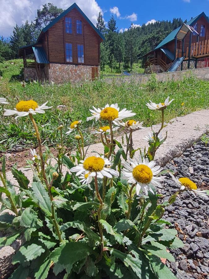 Vikendice Itana Villa Zabljak  Exterior photo